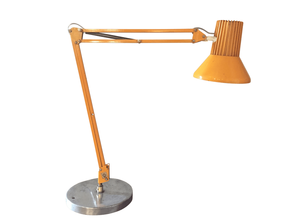 LDT13558