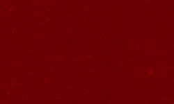 Rosso Fiorentino